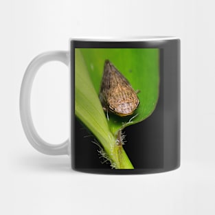 Unique and organic photo of a planthopper Mug